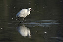 BUITEN BEELD Foto: 437756