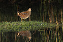 BUITEN BEELD Foto: 437760