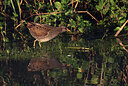 BUITEN BEELD Foto: 437764