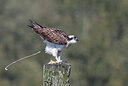 BUITEN BEELD Foto: 437770