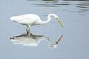 BUITEN BEELD Foto: 437789