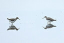 BUITEN BEELD Foto: 437791
