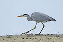 BUITEN BEELD Foto: 437792