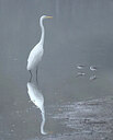 BUITEN BEELD Foto: 437793