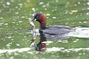 BUITEN BEELD Foto: 437815