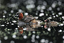 BUITEN BEELD Foto: 437822