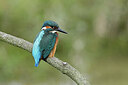 BUITEN BEELD Foto: 437832