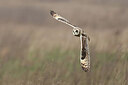 BUITEN BEELD Foto: 437838