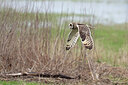 BUITEN BEELD Foto: 437839