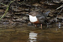 BUITEN BEELD Foto: 437841