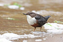 BUITEN BEELD Foto: 437842