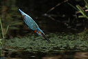 BUITEN BEELD Foto: 437846