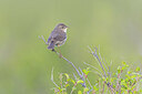 BUITEN BEELD Foto: 437847