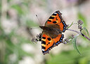 BUITEN BEELD Foto: 437856