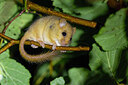 BUITEN BEELD Foto: 437861