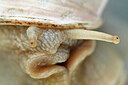 BUITEN BEELD Foto: 437885