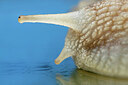 BUITEN BEELD Foto: 437886