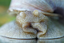 BUITEN BEELD Foto: 437888