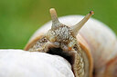BUITEN BEELD Foto: 437890