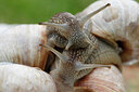 BUITEN BEELD Foto: 437891