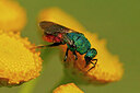 BUITEN BEELD Foto: 437899