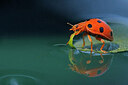 BUITEN BEELD Foto: 437904