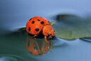 BUITEN BEELD Foto: 437905