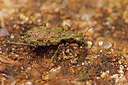 BUITEN BEELD Foto: 437906