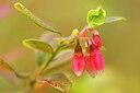BUITEN BEELD Foto: 437919