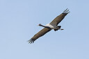 BUITEN BEELD Foto: 437927