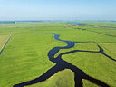 BUITEN BEELD Foto: 437941