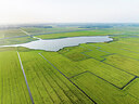 BUITEN BEELD Foto: 437942