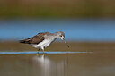 BUITEN BEELD Foto: 437965