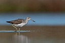 BUITEN BEELD Foto: 437966