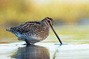 BUITEN BEELD Foto: 437971
