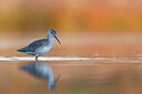 BUITEN BEELD Foto: 437973