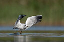 BUITEN BEELD Foto: 437974