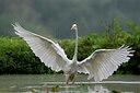 BUITEN BEELD Foto: 437981
