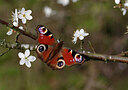 BUITEN BEELD Foto: 438003