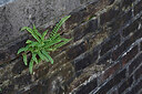 BUITEN BEELD Foto: 438026