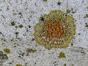 BUITEN BEELD Foto: 438029