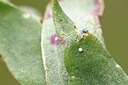 BUITEN BEELD Foto: 438059