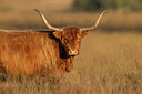 BUITEN BEELD Foto: 438074
