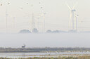 BUITEN BEELD Foto: 438077