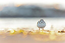 BUITEN BEELD Foto: 438109