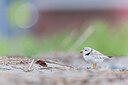 BUITEN BEELD Foto: 438114