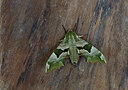 BUITEN BEELD Foto: 438127