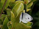 BUITEN BEELD Foto: 438133