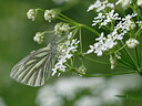 BUITEN BEELD Foto: 438135