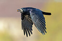 BUITEN BEELD Foto: 438143